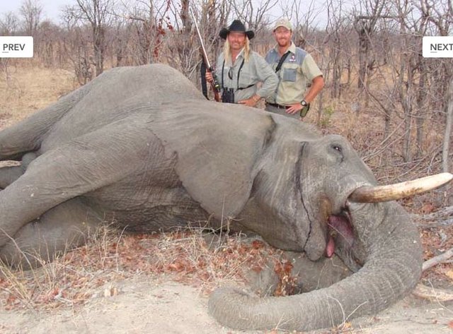 Shaykh Salih al Fawzan Animals are only killed for two&nbsp;Affairs