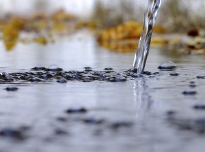 The Division of Water Related to Purification for Worship  Q&A from Shaykh Abdul Azeez bin Baz rahimahullah, & Detailed Footnotes Bonus What is Major & Minor Impurities by Shaykh Salih&nbsp;alFawzan