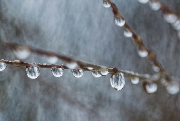 Salah Taraaweeh when Salatu al-Maghrib and Ishaa are combined due to the Weather Rain in Ramadan, Q & A Shaykh Bin&nbsp;Baz