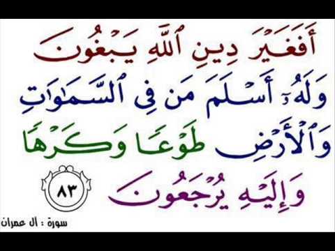 Tafseer Saadi “Do they seek other than the religion of Allah, while to Him submitted all creatures in the heavens and the earth, willingly or unwillingly. ” A’l-i-Imran verse&nbsp;83